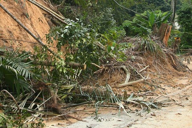Steps to lower landslide risk - Vimarsana News