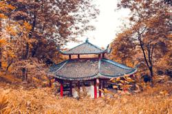 Fall in love with these scenic autumn destinations