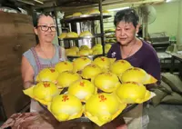 Swift sales for ‘tortoise buns’