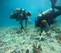 Semporna islanders working hard to restore ailing coral reefs