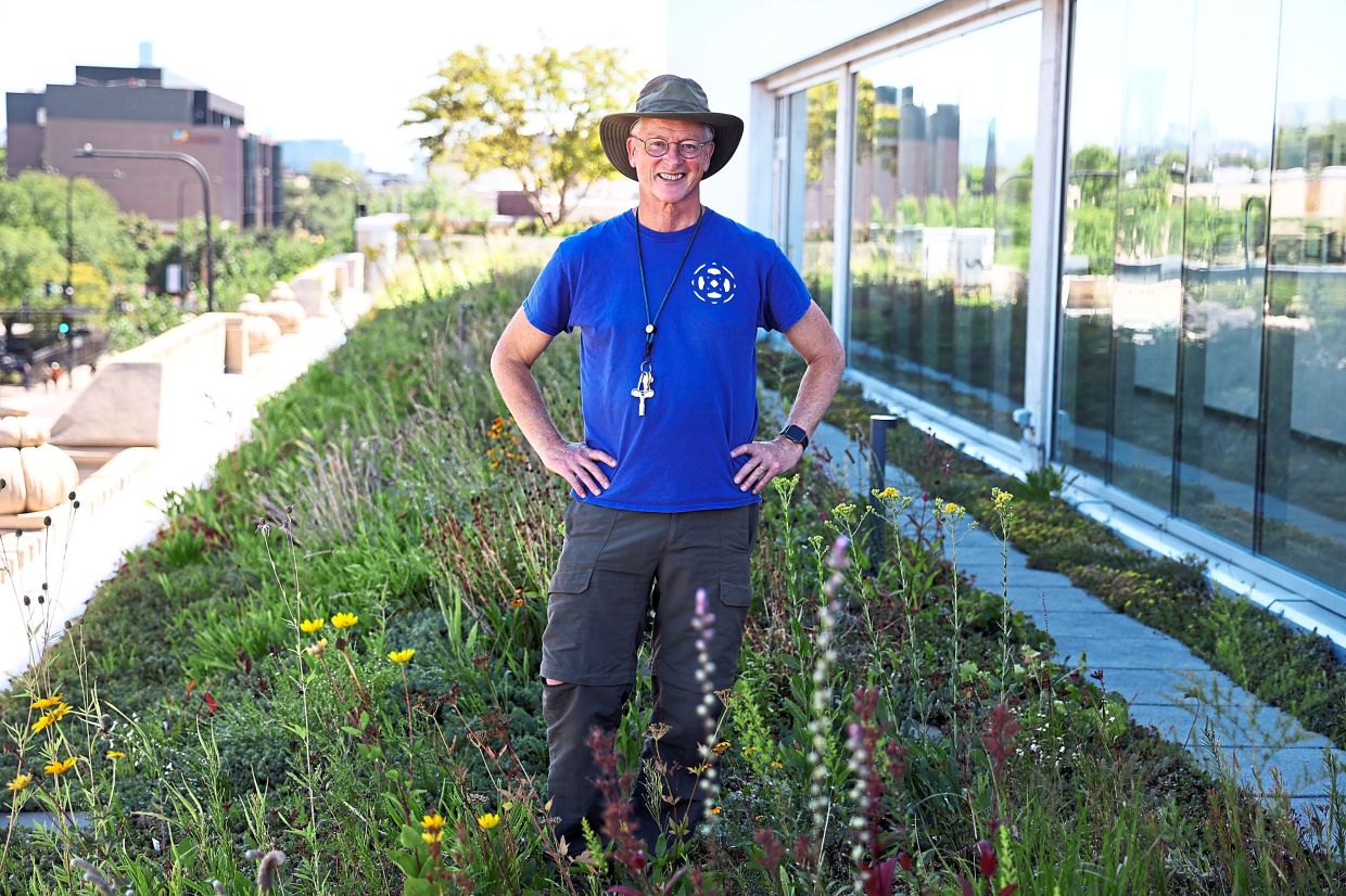 How a rooftop garden serves as a healing space for nature and humans alike - Vimarsana News