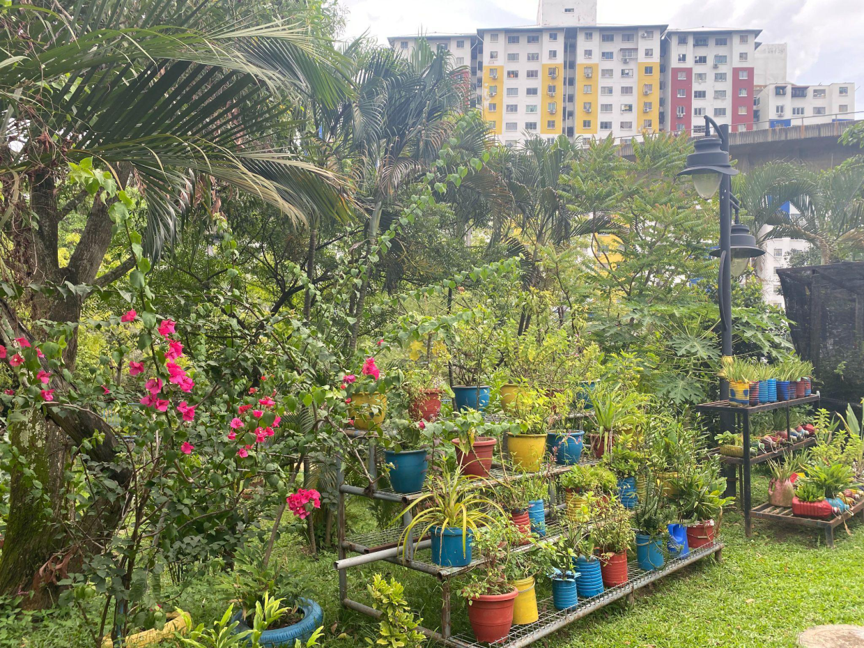 Community gardens are a way for residents to not only grow their own crops but also help to bond with fellow residents.