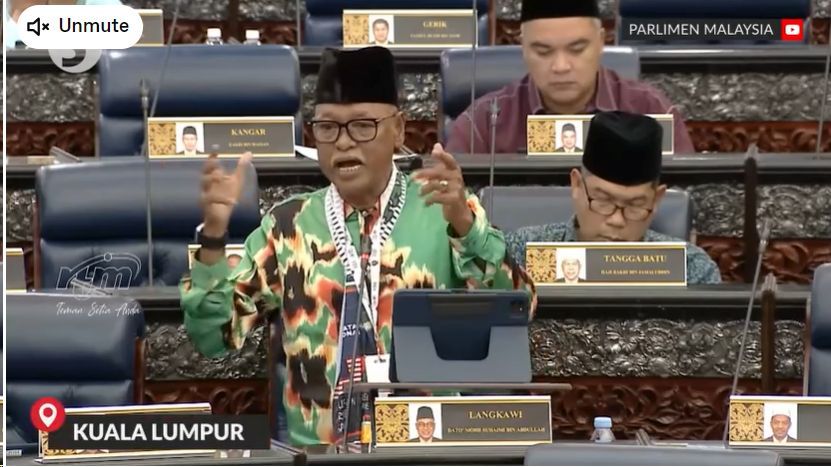 Langkawi MP under fire on social media for 'low-thinking' comment - Vimarsana News