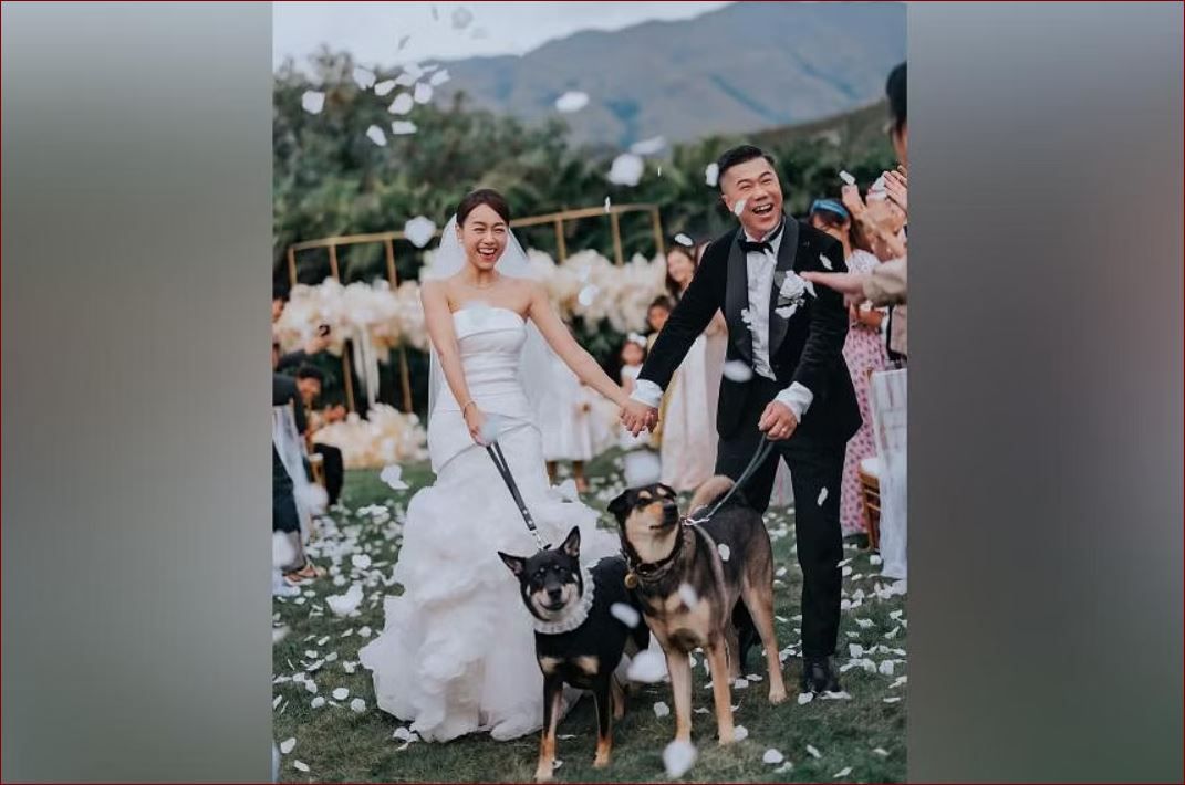 Hong Kong actress Jacqueline Wong ties the knot four years after cheating scandal - Vimarsana News