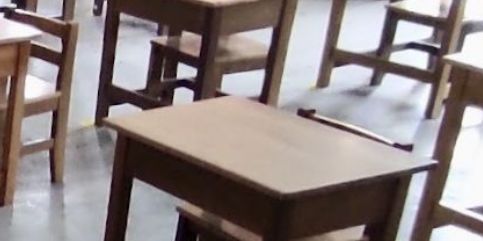 Some students skipping classes during Palestine Solidarity Week - Vimarsana News