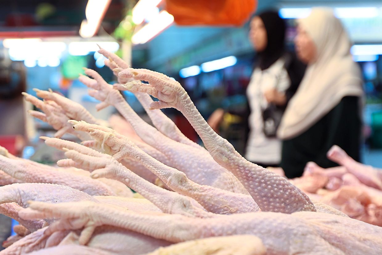'Chicken price may drop below RM9.40 per kg' - Vimarsana News