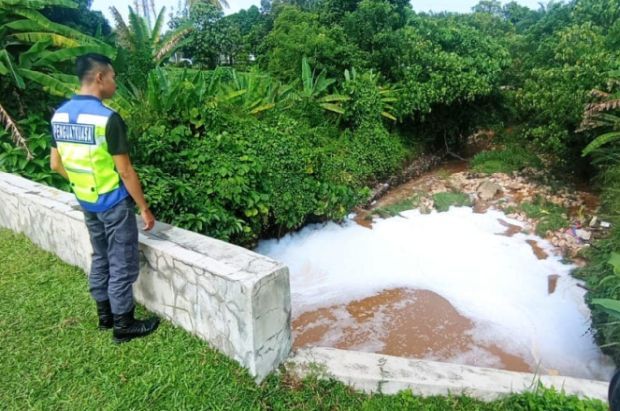 Water pollution in Sg Kecil traced to food processing premises, says Luas - Vimarsana News