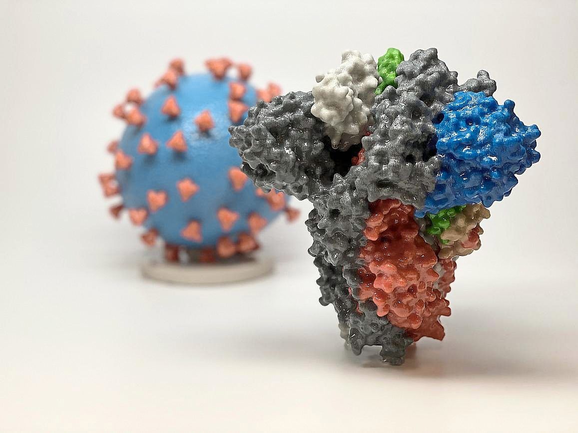 Spike protein, a key component of the SARS-CoV-2 virus, may persist in the body even after vaccination or infection, leading to long term health issues. — AFP