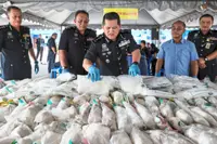 Decades worth of seized drugs to go up in smoke