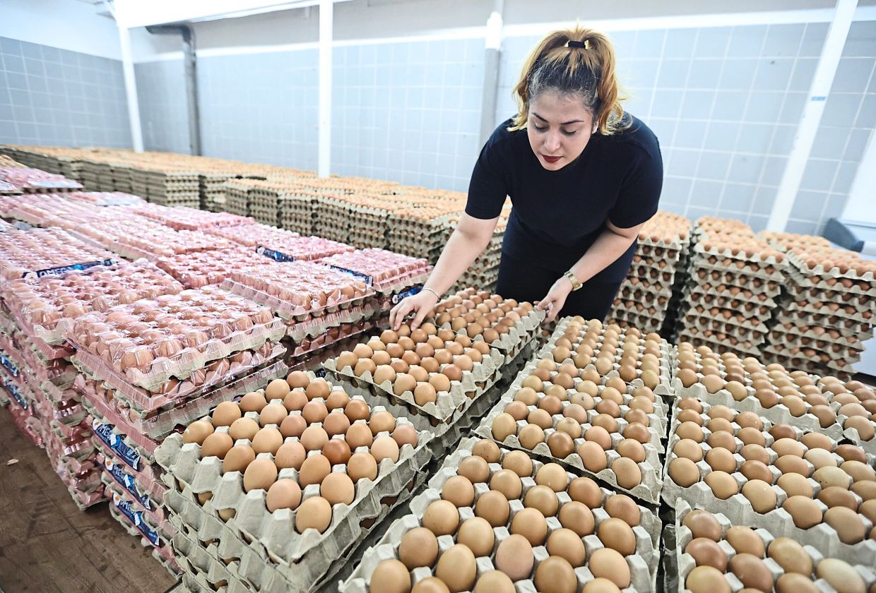 Egg supply still low - Vimarsana News