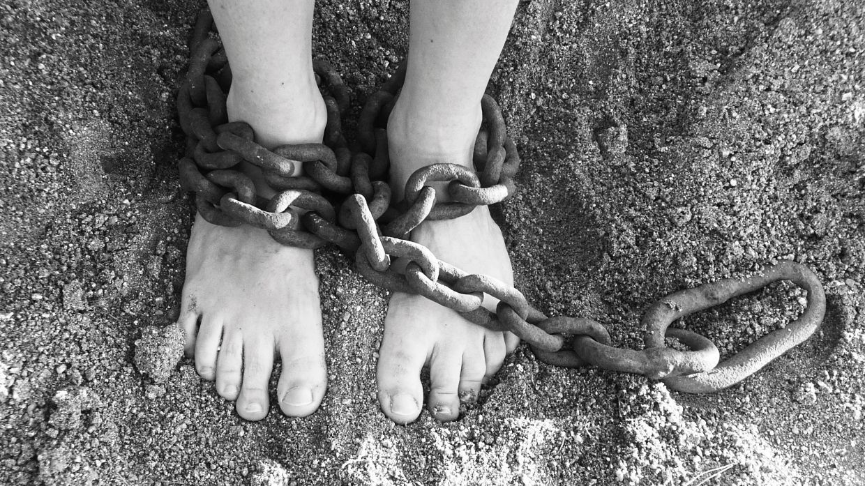'Right to return' for scam victims - Vimarsana News