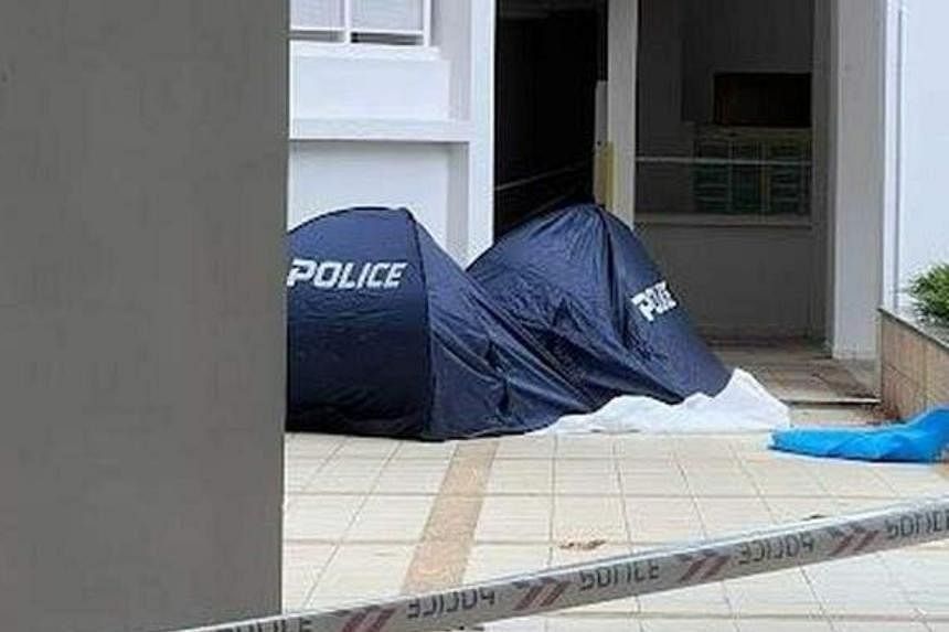 Woman and baby found dead at foot of Eunos block of flats | The Star