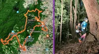 Penang's fabled Unicorn Trail: A must-go for avid hikers and runners