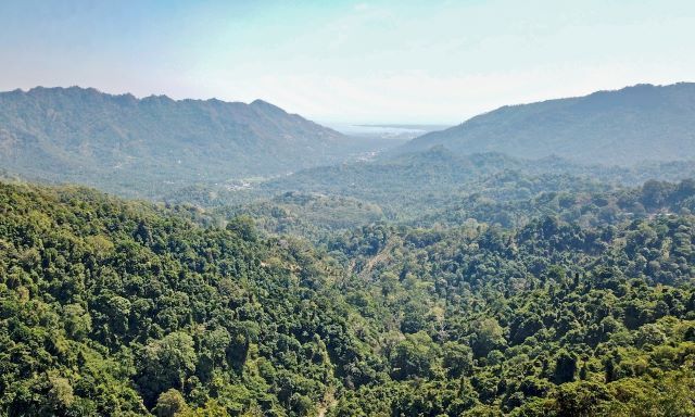Certification headache for budding carbon market - Vimarsana News