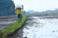 Seed strategy bolsters supply