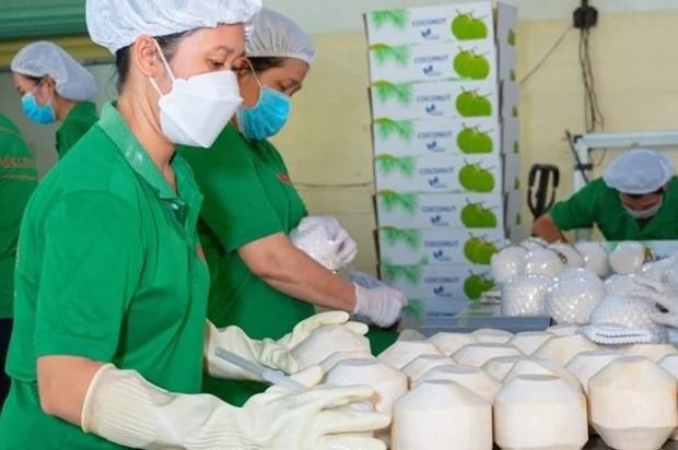 Vietnam's much heralded coconuts industry now primed to export products to US and China - Vimarsana News