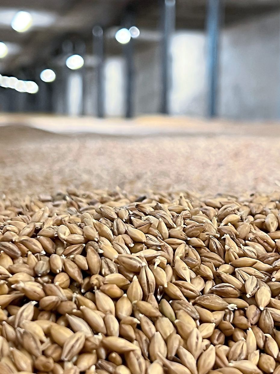 Highland Park is one of the few distilleries that still hand-turn their barley on their own floor maltings.