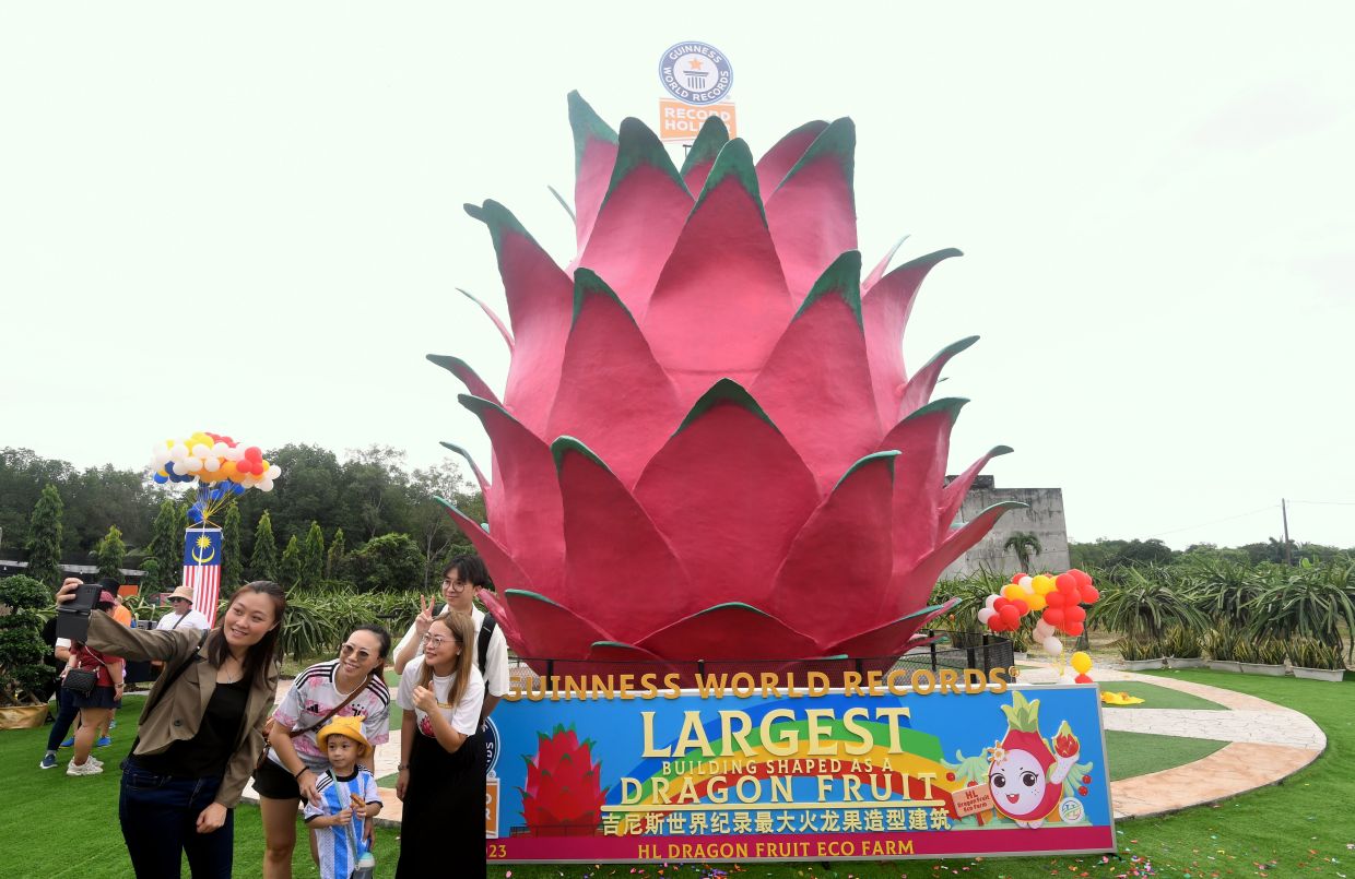 Standing almost 93m tall and 9,4m wide in Sepang, it is the world\'s first-ever official largest dragon fruit-shaped structure. —AZHAR MAHFOF/The Star