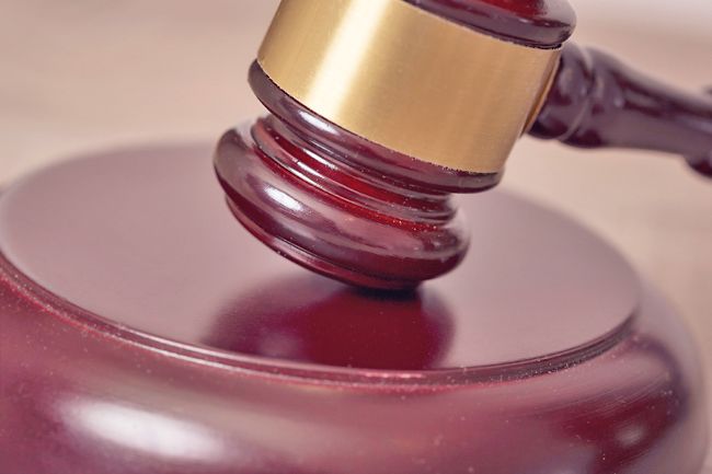 Sibu court fines man RM50,000 for possessing 23 protected animals