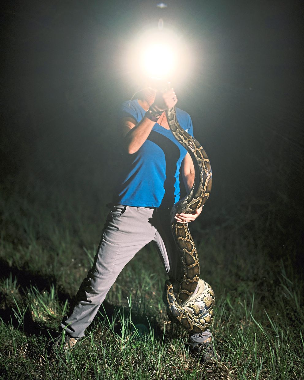 Siewe wrestles with an almost 12-foot Burmese python after pulling it from the brush. — ©2023 The New York Times Company