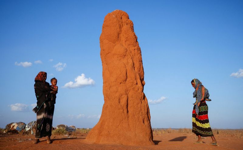 Ethiopia&#039;s Oromiya region accuses OLA rebels of killing &#039;many&#039; people