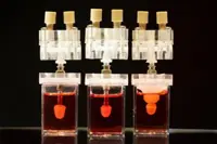 Heart-in-a-jar: Singapore to bioengineer mini Asian models with heart failure to test drugs