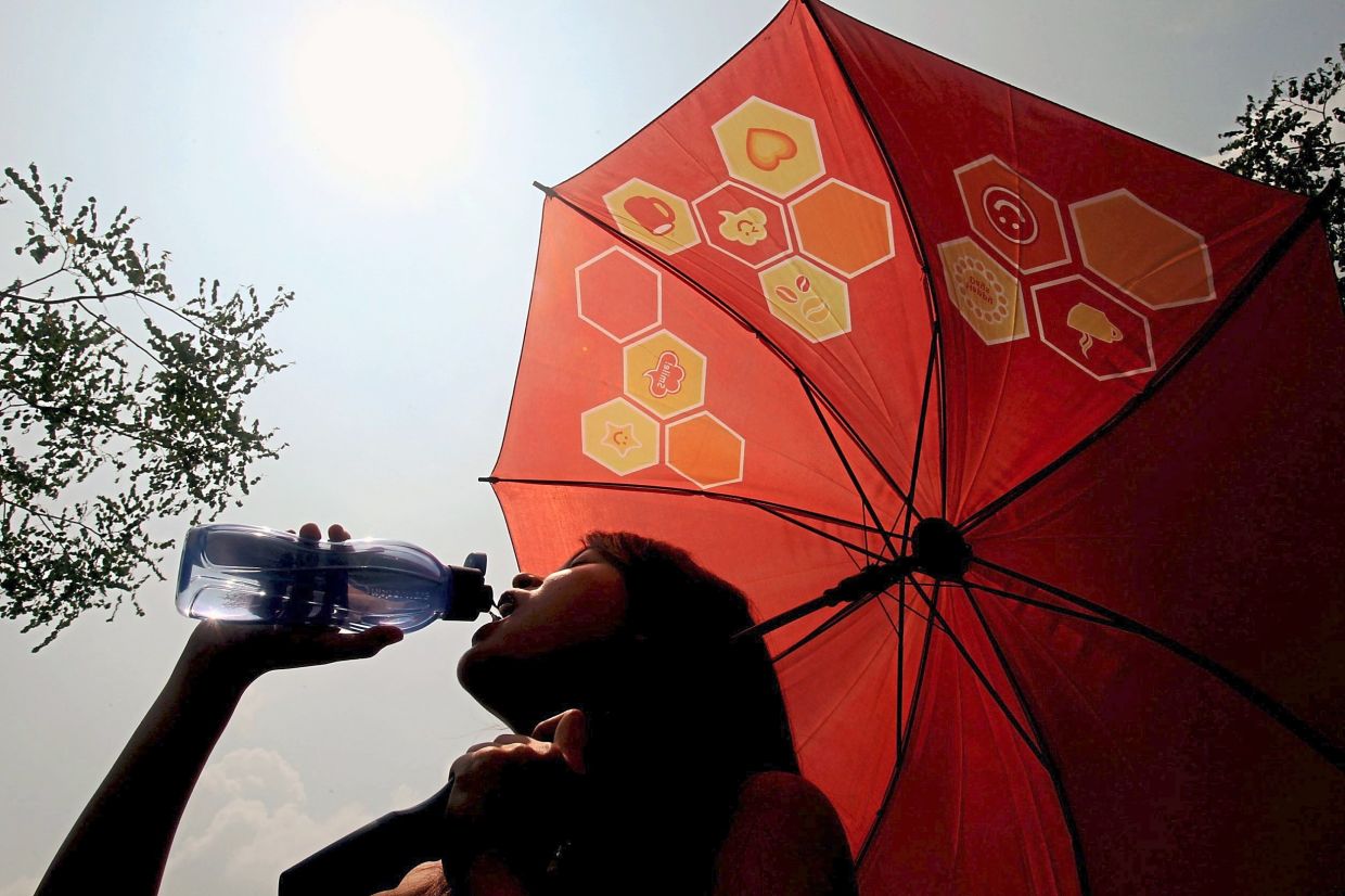 Arctic warming impacting weather in Malaysia, says expert - Vimarsana News
