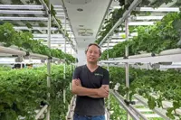 Indoor farming taking root vertically
