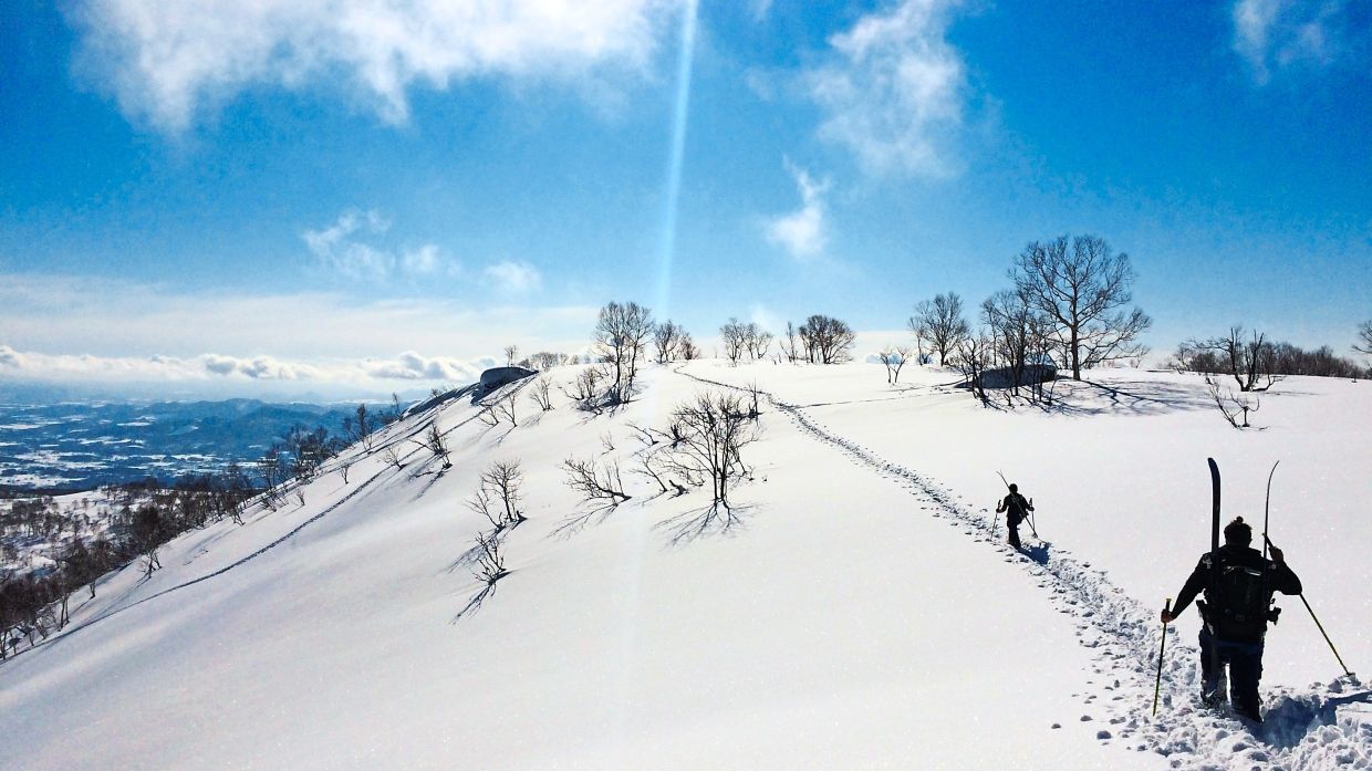 Survey shows popularity of 'snow holidays' among travellers in Asia Pacific - Vimarsana News