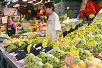 Sour grapes: Japan battles to protect premium fruits
