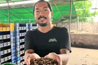 Indonesia’s ‘fly guy’ finds grubby fix