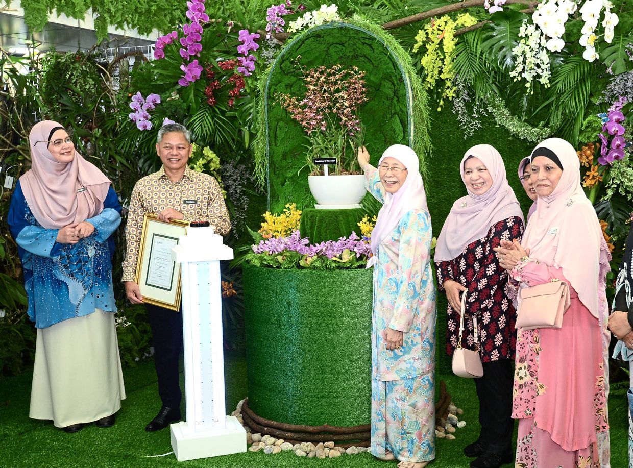 New hybrid orchid steals spotlight - Vimarsana News