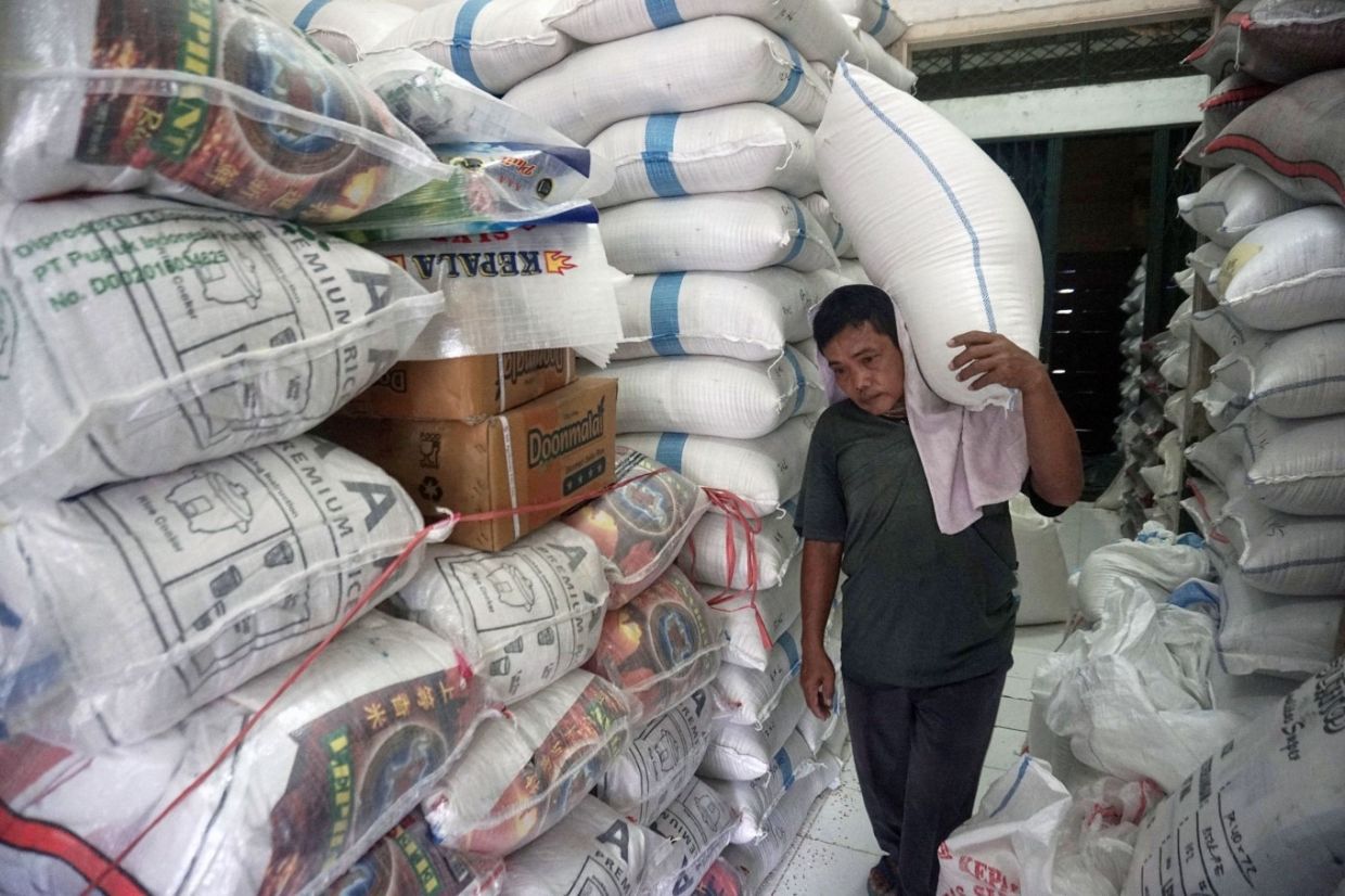Indonesia secures rice import commitments from India, Thailand | The Star