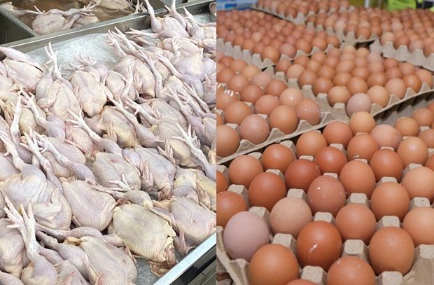 Short and long-term measures in place to address chicken and egg shortage, says Dr Wee - Vimarsana News