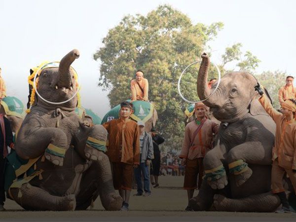 Jumbo crowd expected at Elephant Festival in Laos' Xayaboury - Vimarsana News