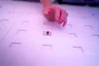 Nation’s startups a top draw in South-East Asia