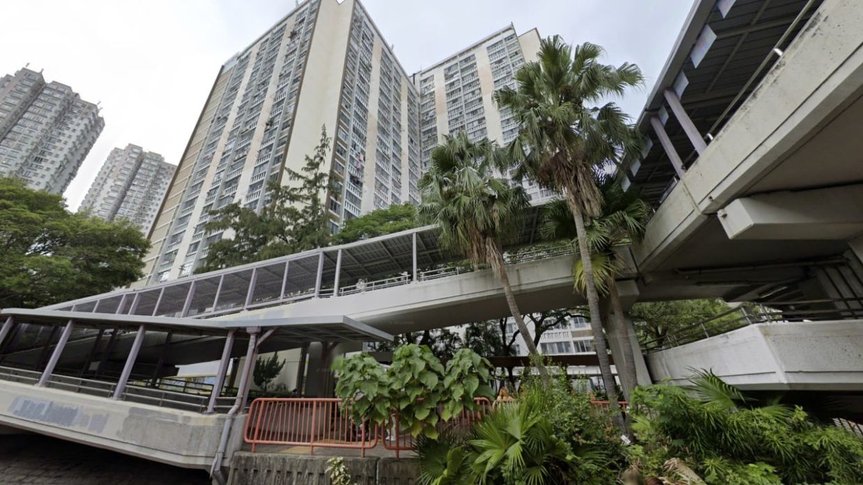 Hong Kong teenager, 17, allegedly attacked by mother who then jumped to her death at public housing estate - Vimarsana News