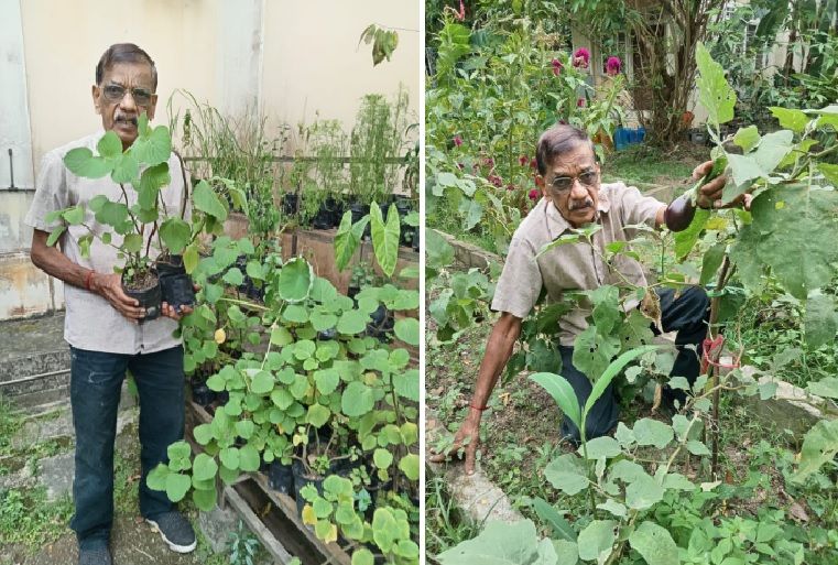 CAP urges Malaysians to begin the New Year by growing their own vegetables - Vimarsana News