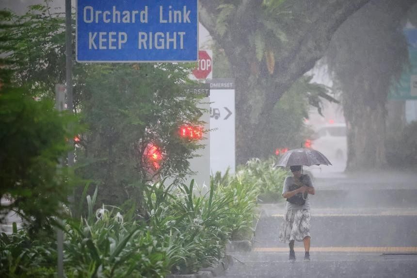 Thundery showers expected in the first two weeks of 2024, says Singapore weatherman - Vimarsana News
