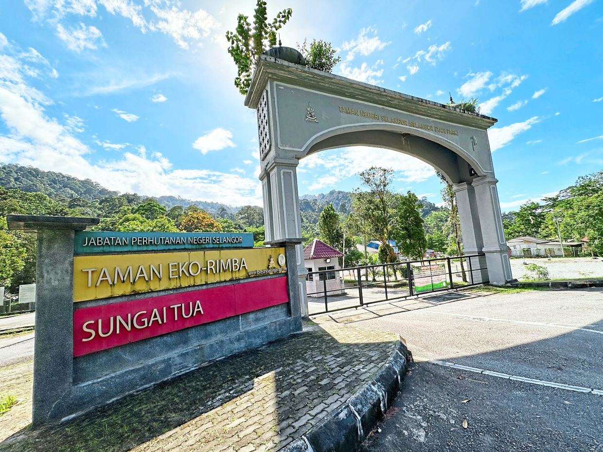 Showcasing Selangor's rich forest heritage - Vimarsana News