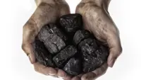 Chinese scientists convert coal into protein to answer animal feed demand in major breakthrough