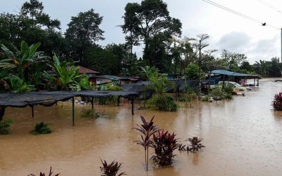 Floods: Number of victims in Johor, Pahang increases to 8,462 at noon Jan 9, says Nadma