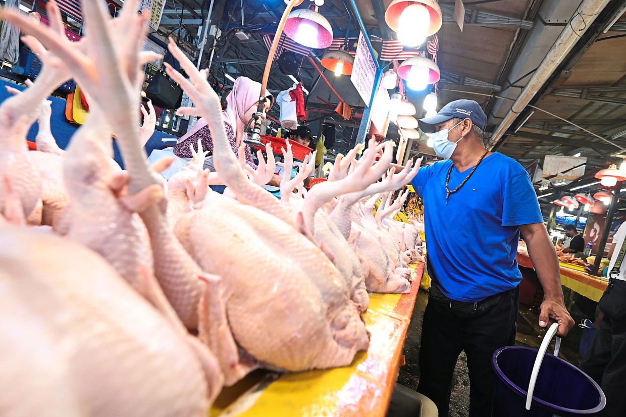 Enough chickens for CNY - Vimarsana News