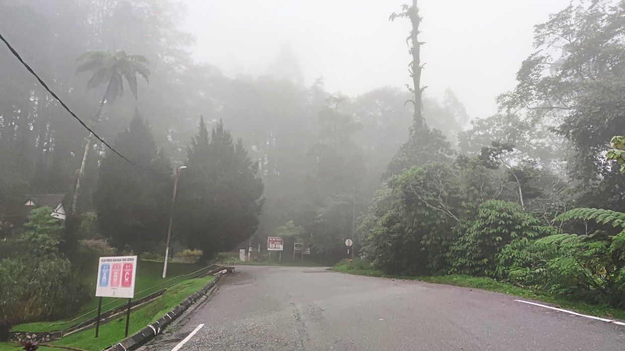 Fraser’s Hill is an ideal spot for car camping, with temperatures dropping to as low as 18°C.