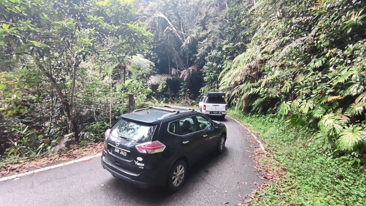It was a slow ride up to Fraser’s Hill in Pahang.