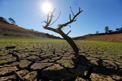 WEF report: Climate change to cause millions of deaths by 2050 - Vimarsana News