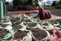 Coffee hoarding set to squeeze Vietnamese exports even further