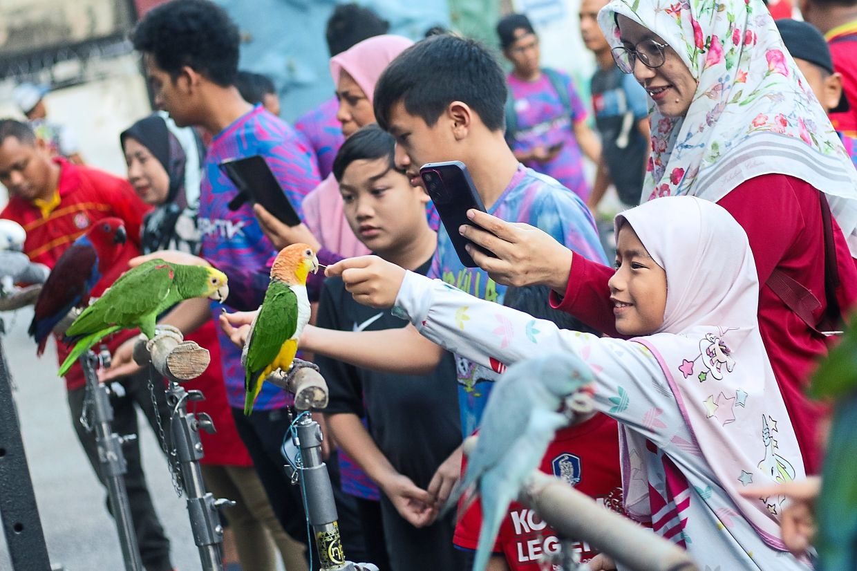 Children getting a close look at the parrots.