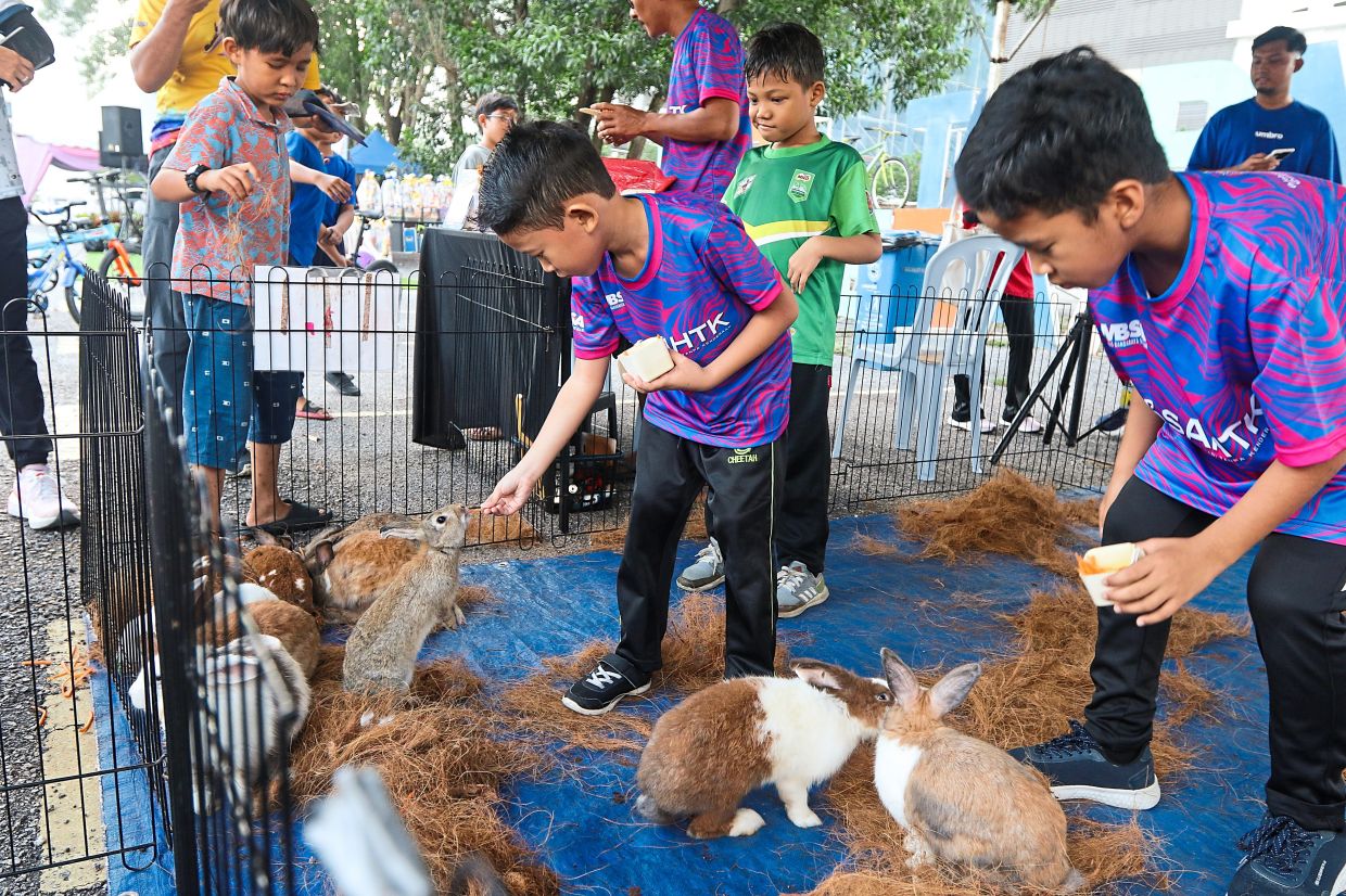 Children feeding rabbits at the petting zoo, a major attraction at the Car-Free Day.
