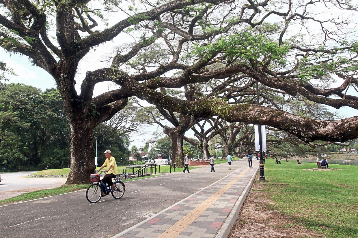 All abuzz over Taiping's future - Vimarsana News